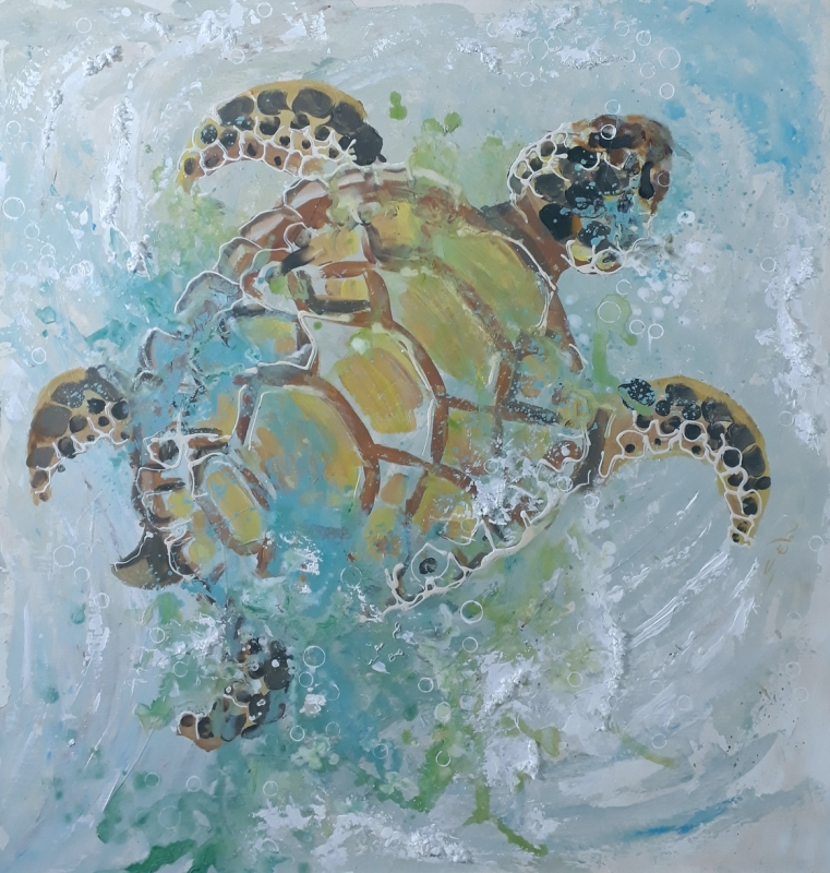 Sela - Pintura Contempornea: Tartaruga marinha